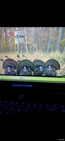 $1,700,000 | Tbd Tbd Dogwood Lane, Doniphan, MO 63935