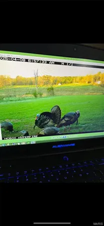$1,700,000 | Tbd Tbd Dogwood Lane, Doniphan, MO 63935