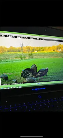 $1,700,000 | Tbd Tbd Dogwood Lane, Doniphan, MO 63935