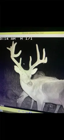 $1,700,000 | Tbd Tbd Dogwood Lane, Doniphan, MO 63935