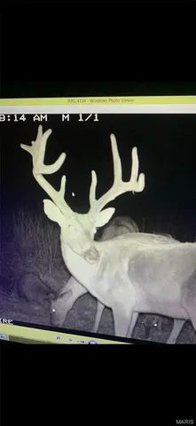 $1,700,000 | Tbd Tbd Dogwood Lane, Doniphan, MO 63935