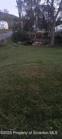 a view of a field of grass and trees