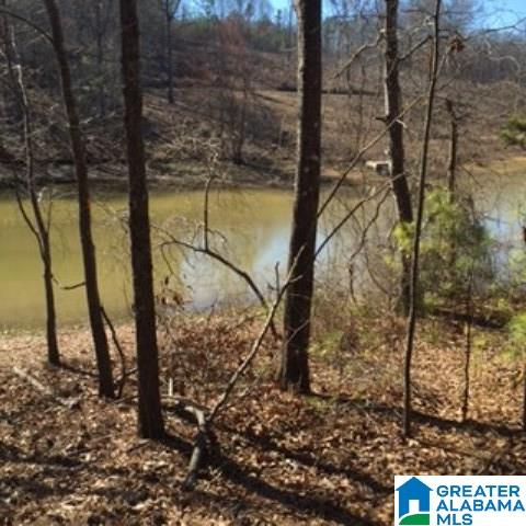 338 Davis Acres Drive, Unit 1 Alpine, AL 35014 - Photo 11 of 19