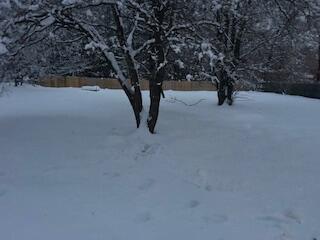 1986 Whitehall Road Muskegon, MI 49445 - Photo 24 of 24 IMG_7083