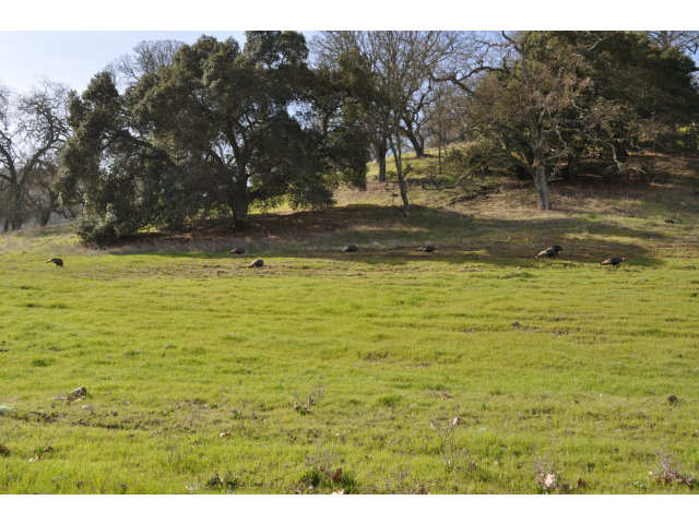 6560 Eagle Ridge Court Gilroy, CA 95020 - Photo 18 of 18 a view of a ocean view