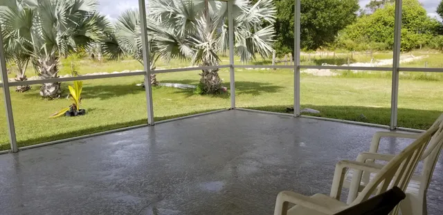 a view of a room with gym equipment and palm trees