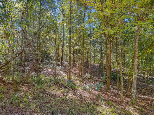 $65,000 | 90 Magnolia Court, Havana, FL 32333