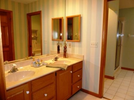 2618 Miller Road Geneva, IL 60134 - Photo 9 of 16 a bathroom with a sink and a mirror