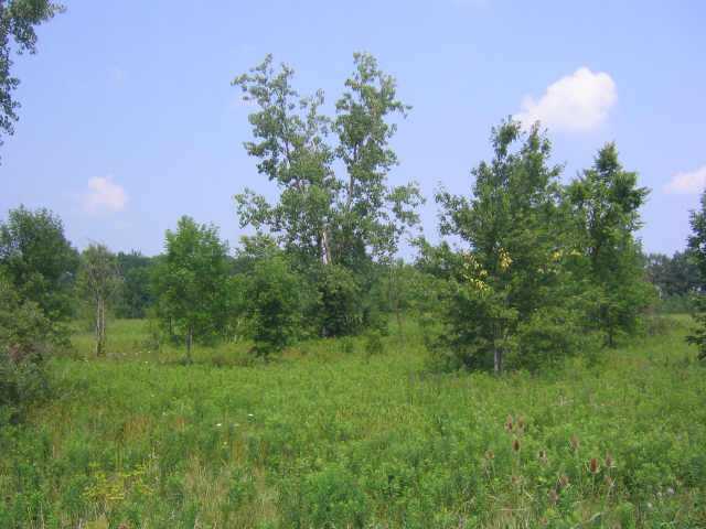 0 Johnstown Road, Unit TRACT I Mount Vernon, OH 43050 - Photo 3 of 10