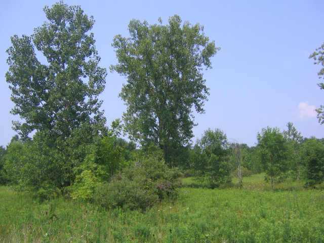 0 Johnstown Road, Unit TRACT I Mount Vernon, OH 43050 - Photo 4 of 10