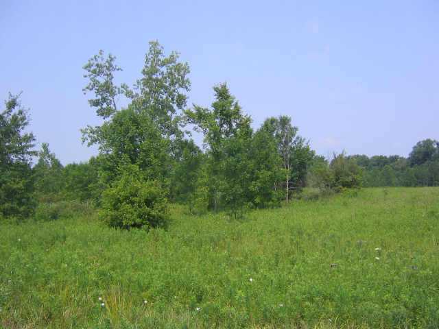 0 Johnstown Road, Unit TRACT I Mount Vernon, OH 43050 - Photo 5 of 10