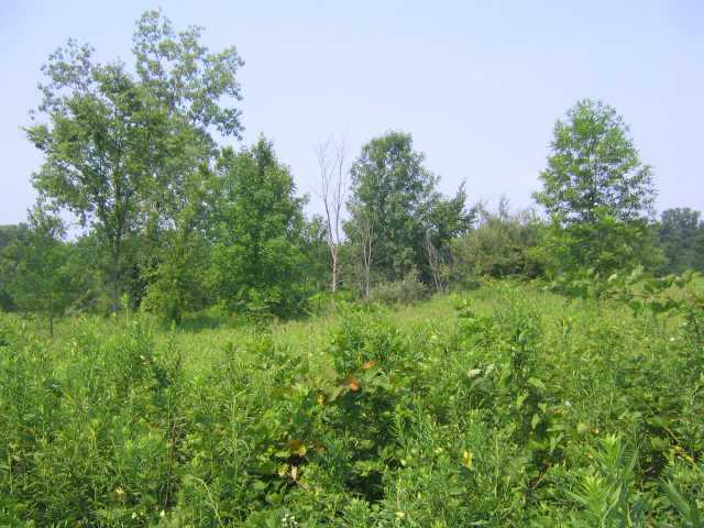 0 Johnstown Road, Unit TRACT I Mount Vernon, OH 43050 - Photo 7 of 10