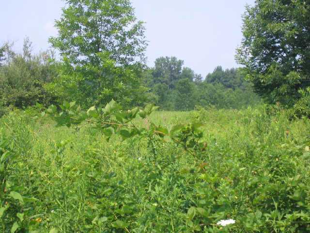 0 Johnstown Road, Unit TRACT I Mount Vernon, OH 43050 - Photo 8 of 10