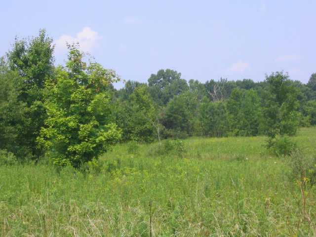0 Johnstown Road, Unit TRACT I Mount Vernon, OH 43050 - Photo 9 of 10