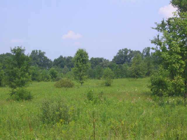 0 Johnstown Road, Unit TRACT I Mount Vernon, OH 43050 - Photo 10 of 10