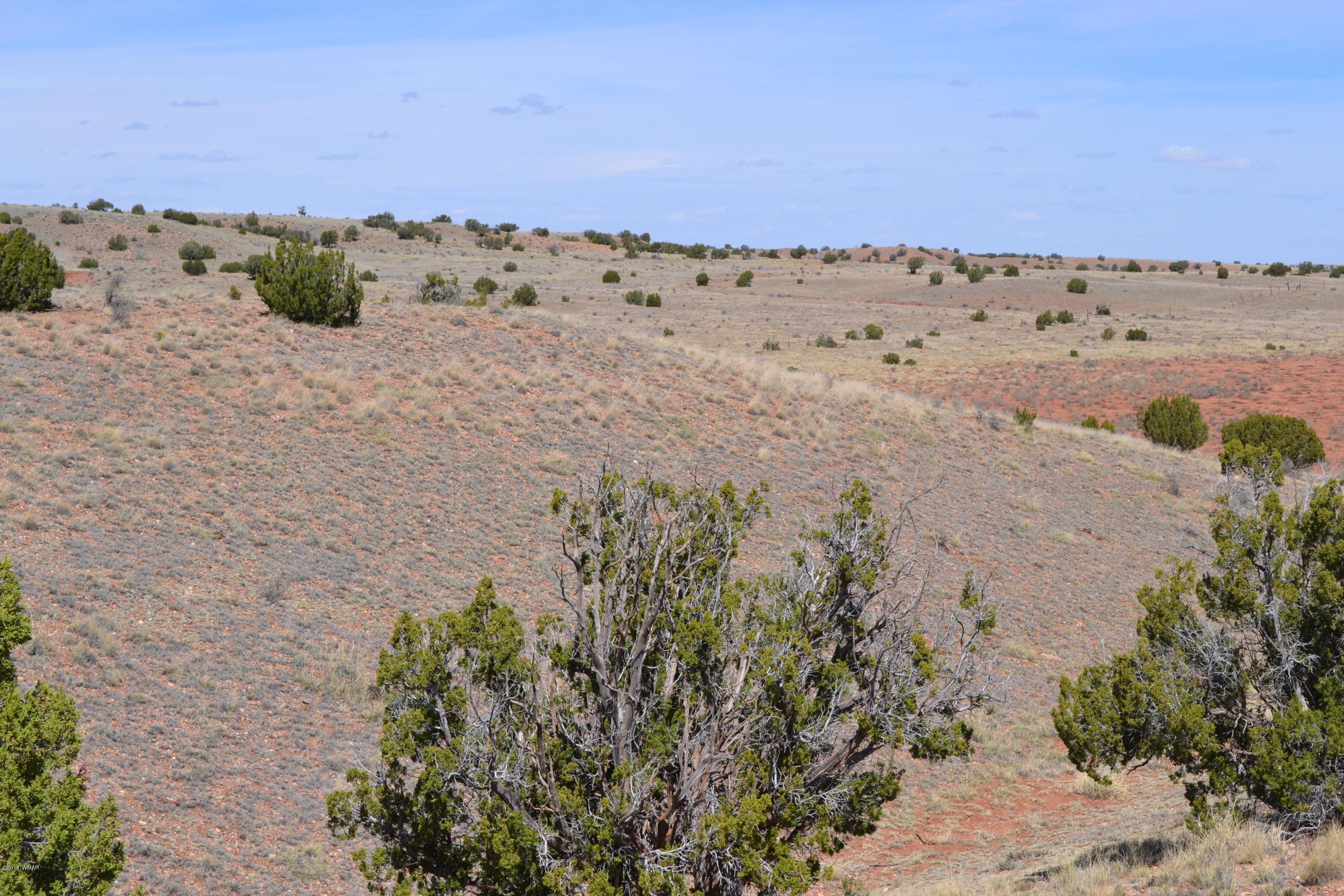 9519 Lost Trail Snowflake, AZ 85937 - Photo 1 of 27
