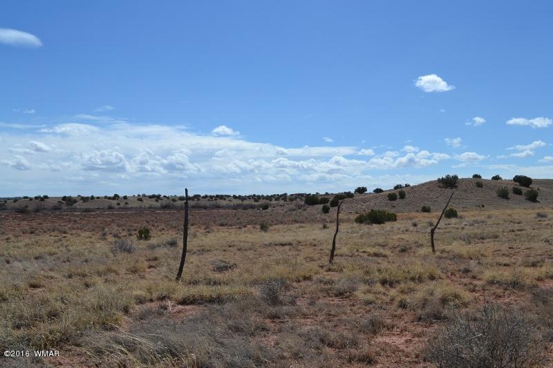 9519 Lost Trail Snowflake, AZ 85937 - Photo 11 of 27