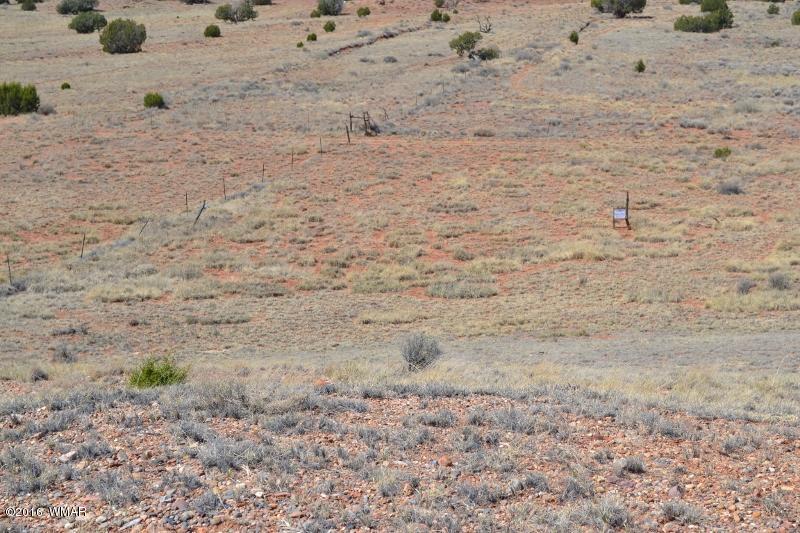 9519 Lost Trail Snowflake, AZ 85937 - Photo 12 of 27