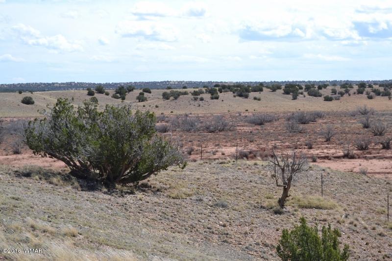 9519 Lost Trail Snowflake, AZ 85937 - Photo 13 of 27