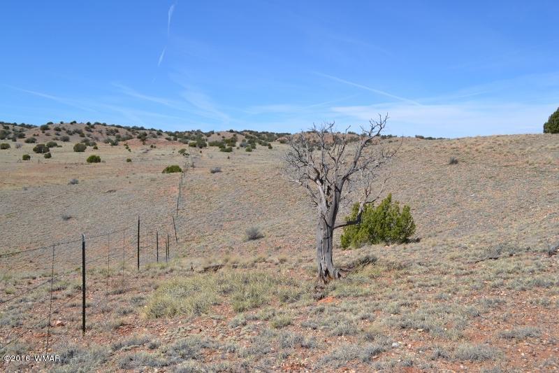 9519 Lost Trail Snowflake, AZ 85937 - Photo 14 of 27