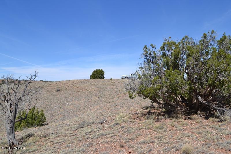 9519 Lost Trail Snowflake, AZ 85937 - Photo 15 of 27