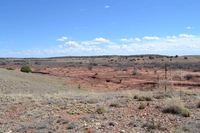 9519 Lost Trail Snowflake, AZ 85937 - Photo 16 of 27