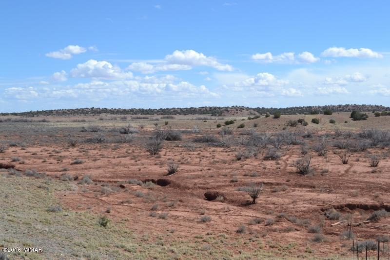 9519 Lost Trail Snowflake, AZ 85937 - Photo 17 of 27