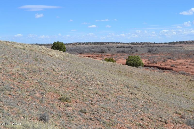 9519 Lost Trail Snowflake, AZ 85937 - Photo 18 of 27