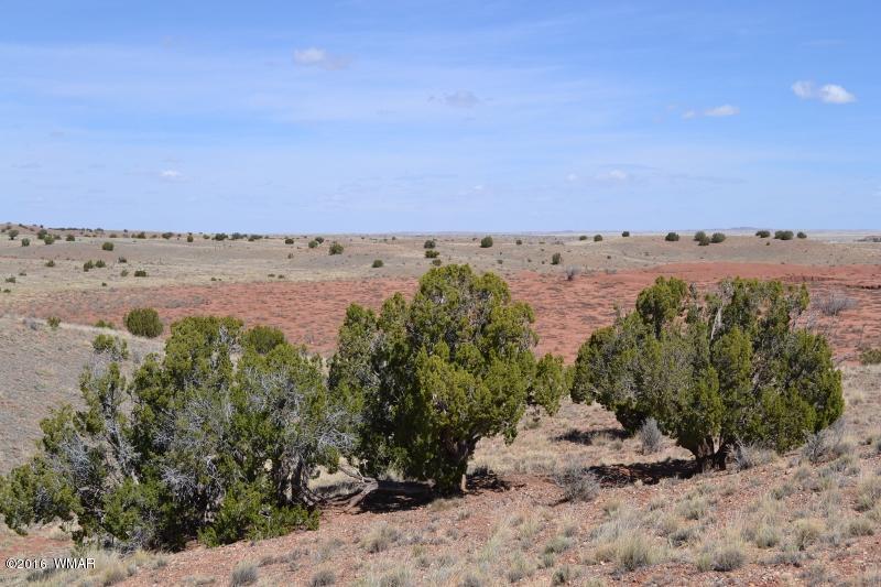 9519 Lost Trail Snowflake, AZ 85937 - Photo 19 of 27