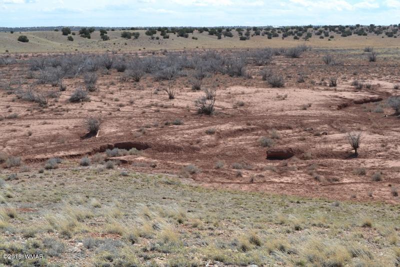 9519 Lost Trail Snowflake, AZ 85937 - Photo 20 of 27