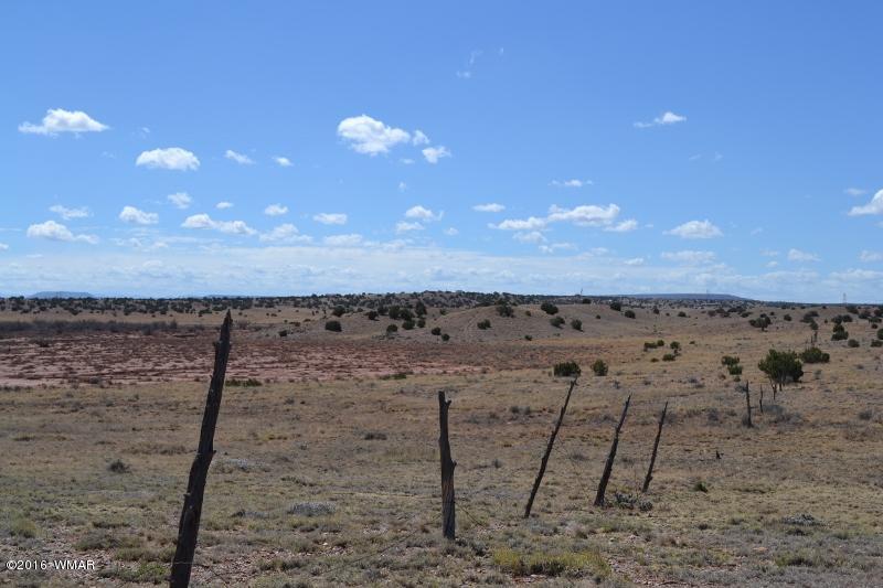9519 Lost Trail Snowflake, AZ 85937 - Photo 2 of 27