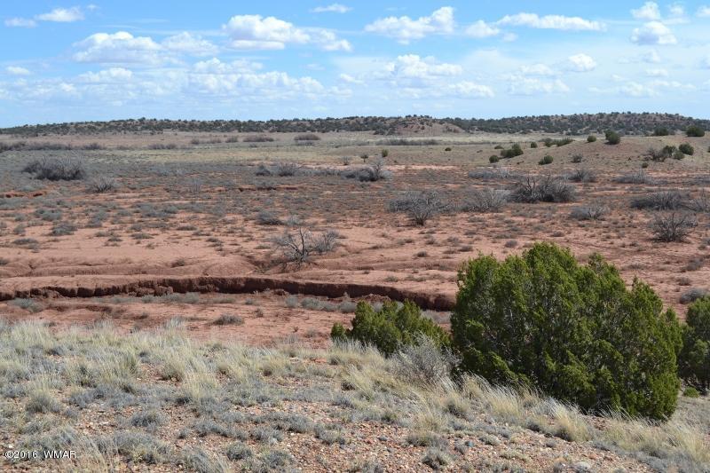 9519 Lost Trail Snowflake, AZ 85937 - Photo 21 of 27