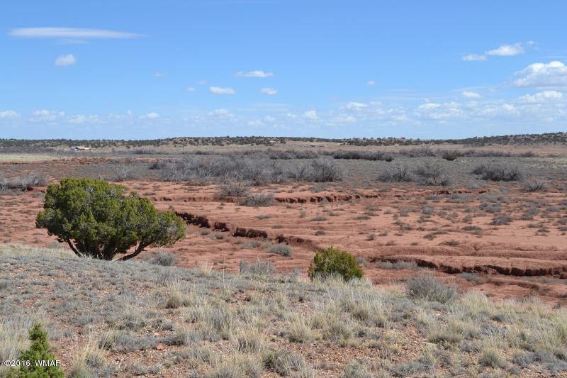 9519 Lost Trail Snowflake, AZ 85937 - Photo 22 of 27