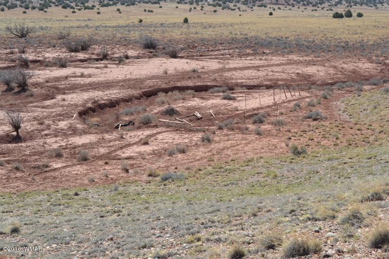 9519 Lost Trail Snowflake, AZ 85937 - Photo 23 of 27