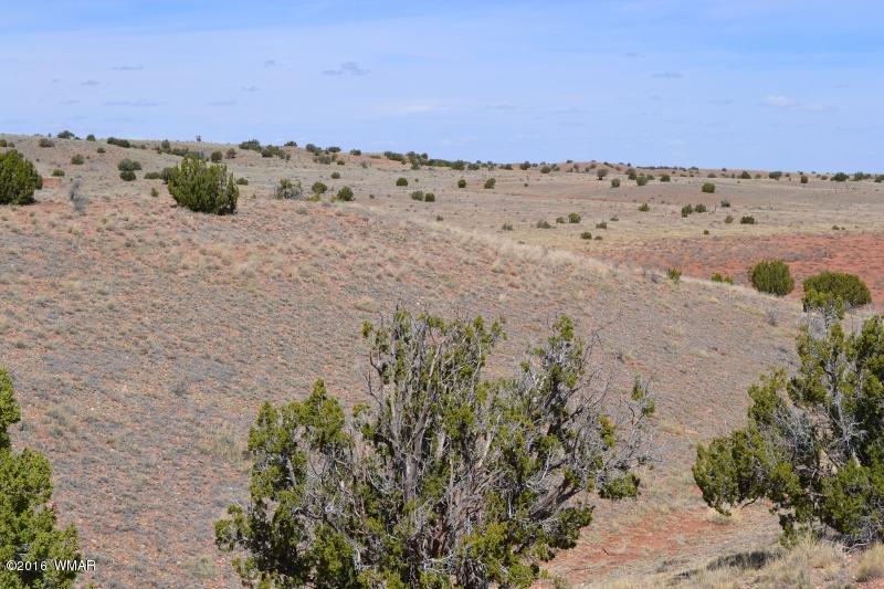 9519 Lost Trail Snowflake, AZ 85937 - Photo 24 of 27
