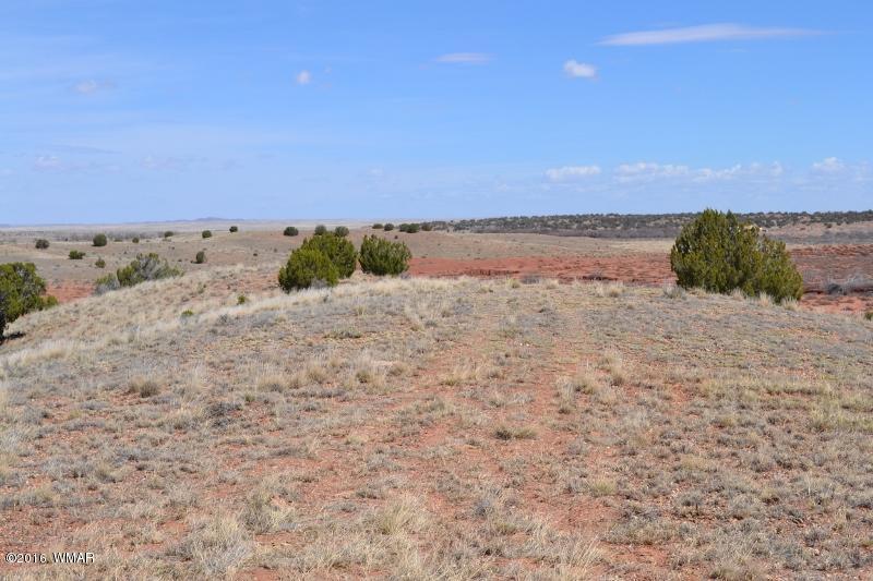 9519 Lost Trail Snowflake, AZ 85937 - Photo 25 of 27