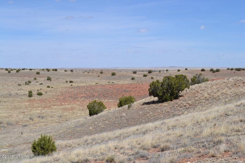9519 Lost Trail Snowflake, AZ 85937 - Photo 26 of 27
