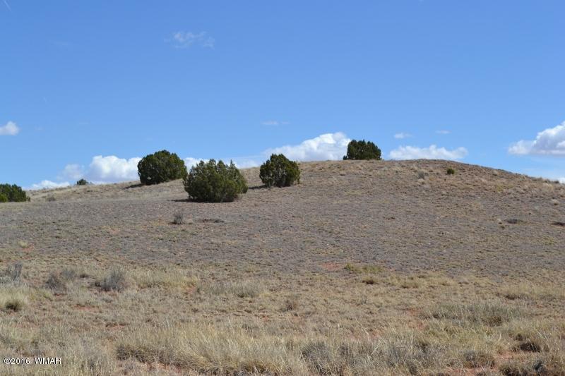 9519 Lost Trail Snowflake, AZ 85937 - Photo 27 of 27