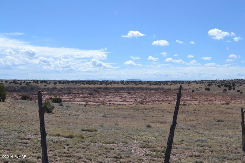 9519 Lost Trail Snowflake, AZ 85937 - Photo 3 of 27