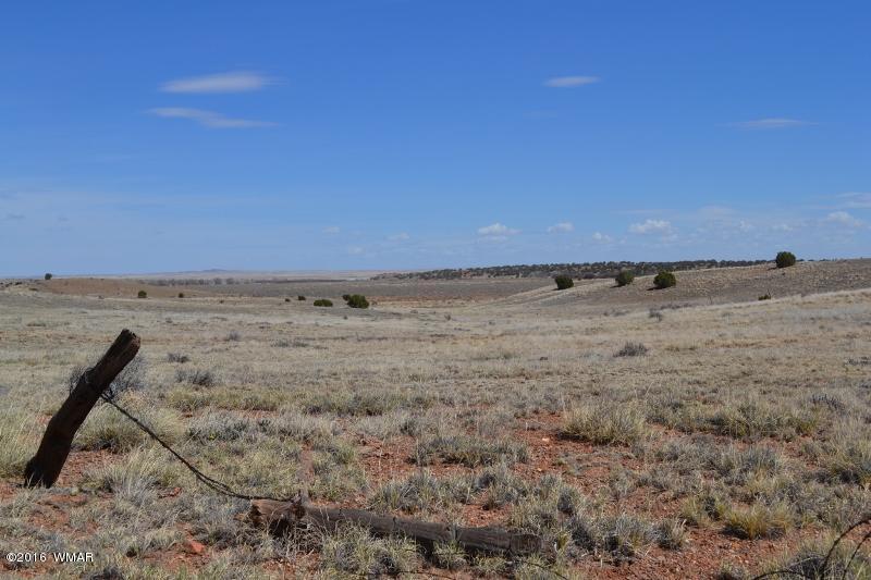 9519 Lost Trail Snowflake, AZ 85937 - Photo 4 of 27