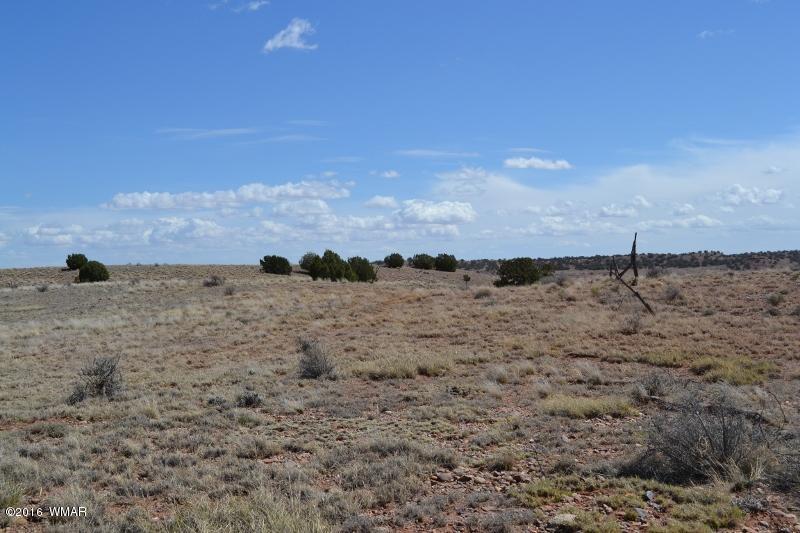 9519 Lost Trail Snowflake, AZ 85937 - Photo 5 of 27