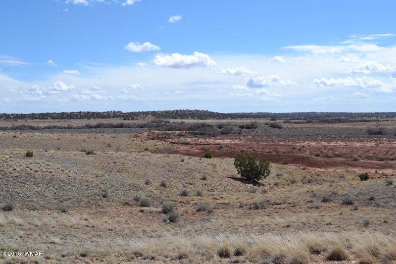 9519 Lost Trail Snowflake, AZ 85937 - Photo 6 of 27