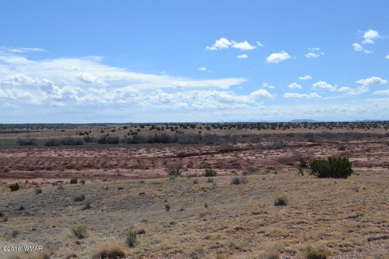 9519 Lost Trail Snowflake, AZ 85937 - Photo 7 of 27