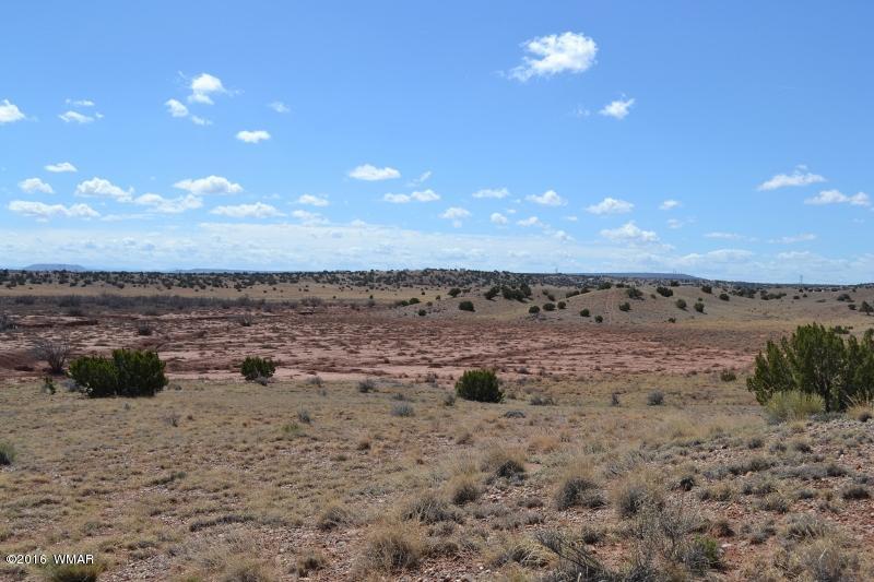 9519 Lost Trail Snowflake, AZ 85937 - Photo 8 of 27