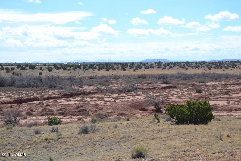 9519 Lost Trail Snowflake, AZ 85937 - Photo 9 of 27