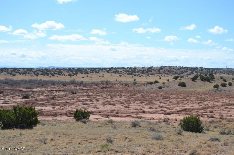 9519 Lost Trail Snowflake, AZ 85937 - Photo 10 of 27