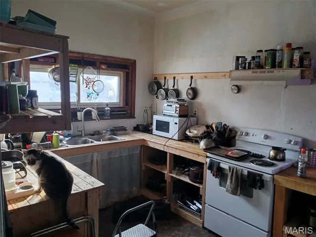 $45,000 | 3020 Mt Pleasant Street, St. Louis, MO 63111