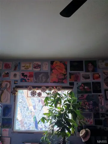 $45,000 | 3020 Mt Pleasant Street, St. Louis, MO 63111