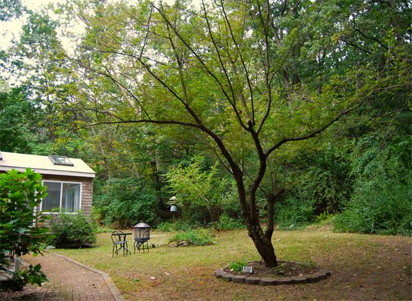 3 Dewey Road Bedford, MA 01730 - Photo 12 of 14 Gallery Image 12