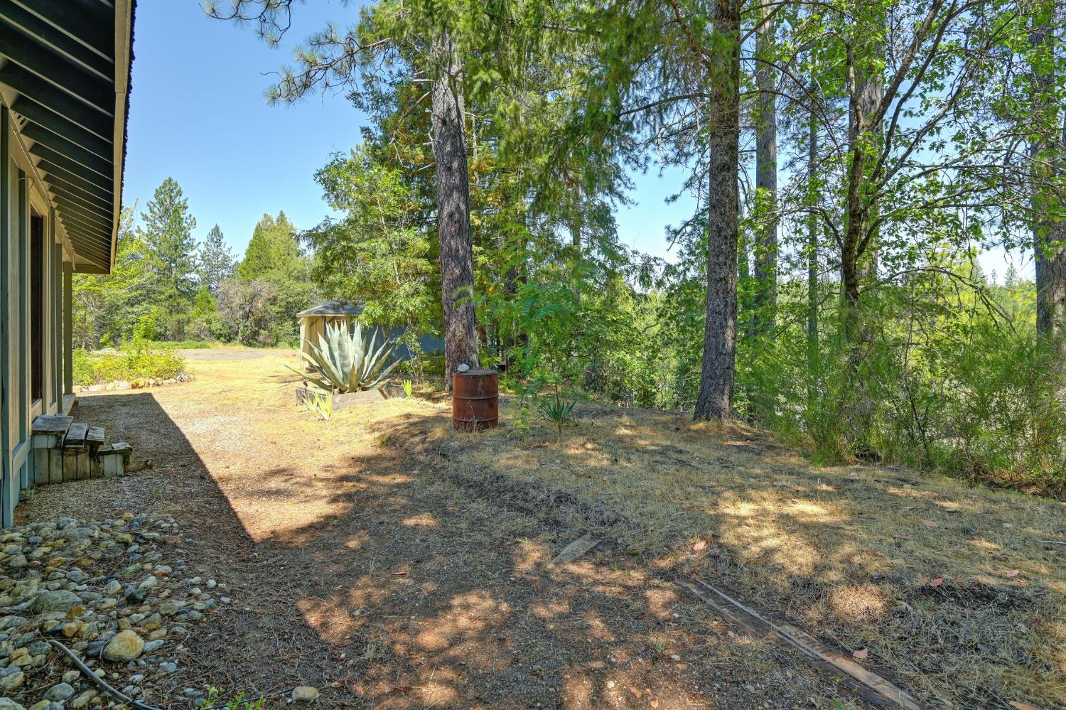 15310 Tyler Foote Road Nevada City, CA 95959 - Photo 35 of 63 a view of a yard with plants and trees